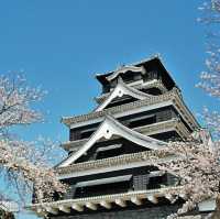三大名城～熊本城
