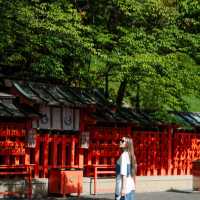 เที่ยวศาลเจ้า Fushimi Inari