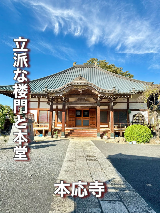 【埼玉県】立派な楼門と本堂