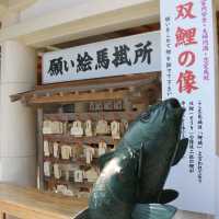 【広島】広島城の歴史と季節の彩が楽しめる鯉城