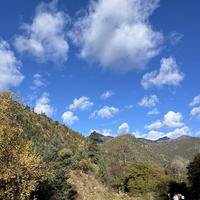 香格里拉普達措國家公園