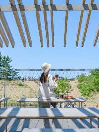 【鳥取】すべて徒歩圏内！鳥取砂丘といっしょに巡れるスポット3選🏜️💡 