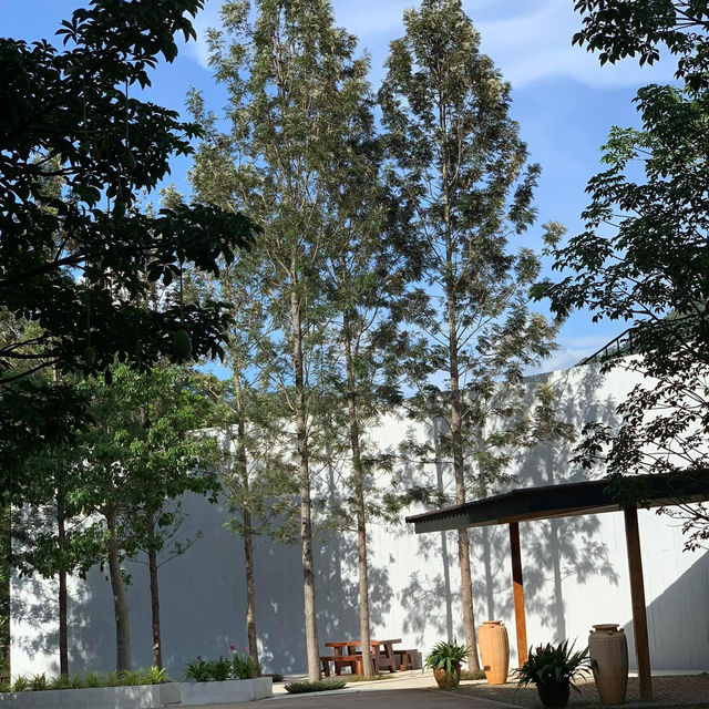 ที่พักเขาใหญ่ ธรรมชาติโอบล้อม 🌳🌿🍃