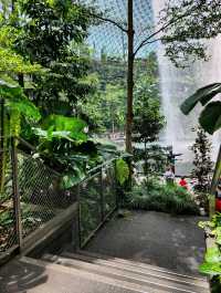 Snap Away at Jewel Rain Vortex