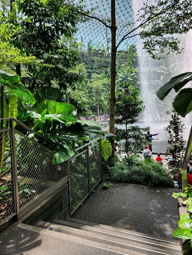 Snap Away at Jewel Rain Vortex
