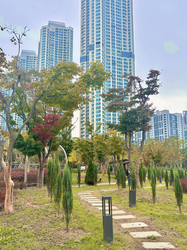 도심 속에서 여유와 힐링을 느끼고 싶을 때 청라호수공원🌳
