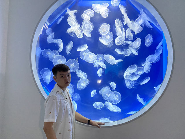 《X park》壯觀海洋世界的沉浸體驗