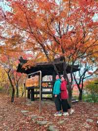 가장 빠른 단풍을 볼수 있는 시월의 단풍여행지🍁