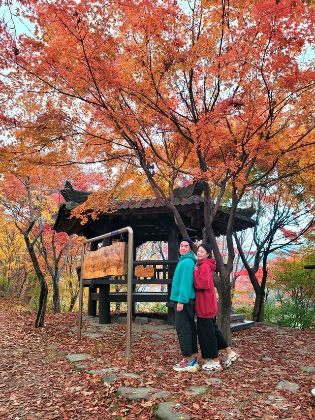 가장 빠른 단풍을 볼수 있는 시월의 단풍여행지🍁