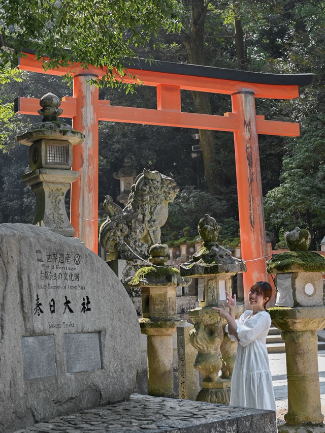 【奈良の世界遺産】春日大社⛩️