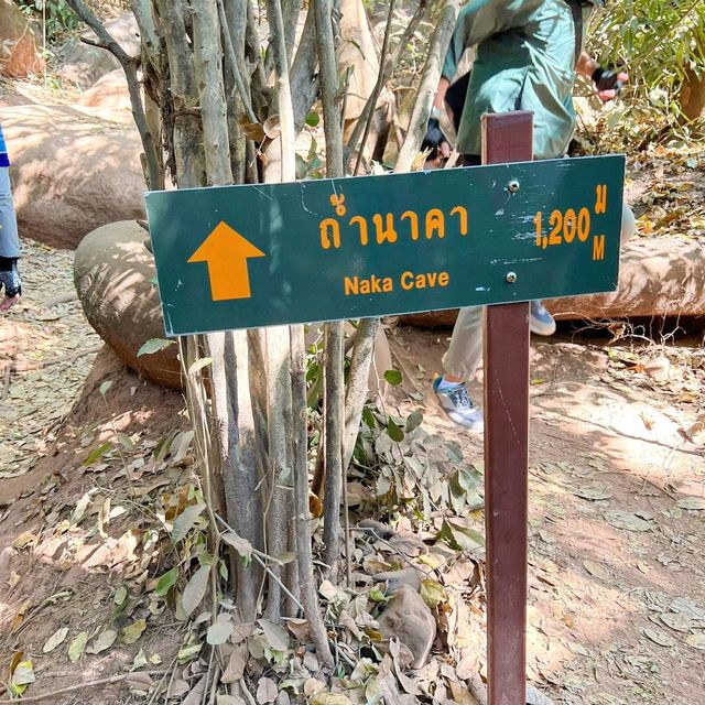 ทริปเดินป่า อุทยานแห่งชาติภูลังกา 