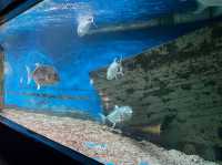 Manila Ocean Park