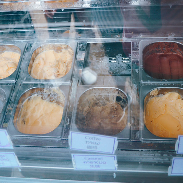 Laos Buffalo Dairy  หลวงพระบาง