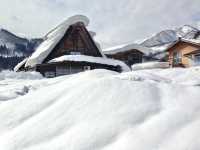 【岐阜県・白川】世界遺産 x 雪景色⛄️