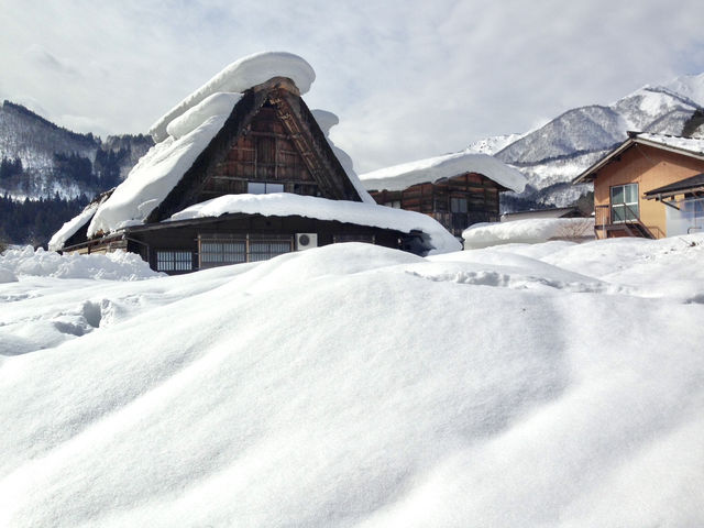 【岐阜県・白川】世界遺産 x 雪景色⛄️