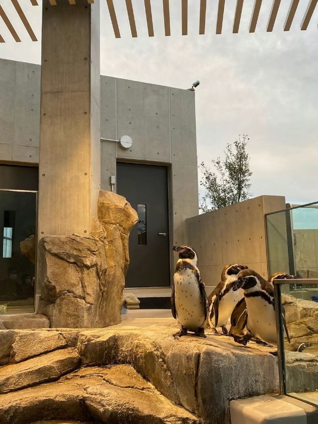 神秘の水族アート🎨！神戸の新感覚アクアリウムで遊んじゃおう〜