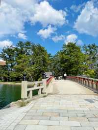 【京都府:天橋立】天橋立をモーターボートで楽しむ！