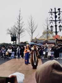 หนาวนี้ที่ Shanghai Disneyland ! ❄️🏰