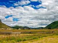 Stunning views at Napahai lake in Shangri-la