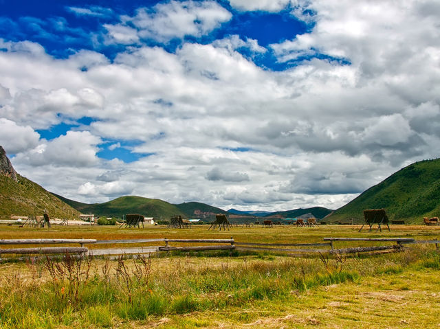 Stunning views at Napahai lake in Shangri-la