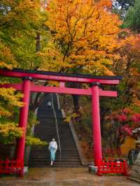 【ここ行って】飛鳥時代からの歴史が残る文化と紅葉の融合✨ここでしかできない体験情報付💡 