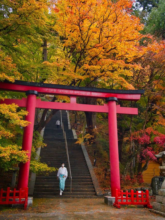 【ここ行って】飛鳥時代からの歴史が残る文化と紅葉の融合✨ここでしかできない体験情報付💡 