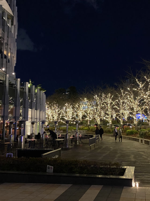 【六本木🇯🇵】東京ミッドタウンイルミネーション🎄
