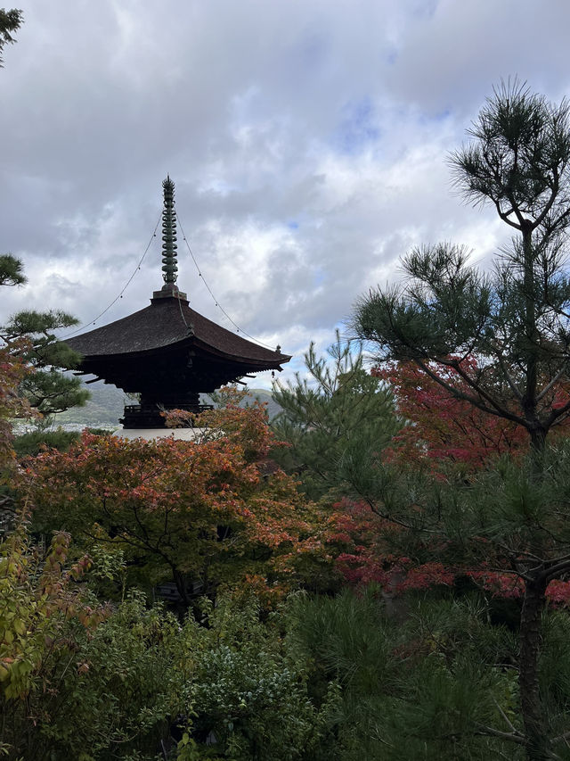 京都嵐山 | 常寂光寺