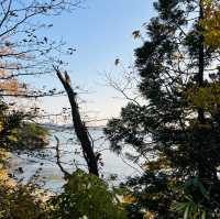 Top 3 views of Japan at Matsushima! 