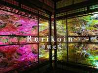 【京都】幻想的すぎるライトアップされた絶景紅葉