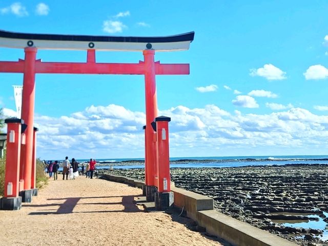 宮崎絕美海岸線 鬼の洗濯板與青島神社