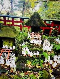 【神奈川県/鎌倉　白狐の置物がたくさん並ぶ神秘的な場所『佐助稲荷神社』】