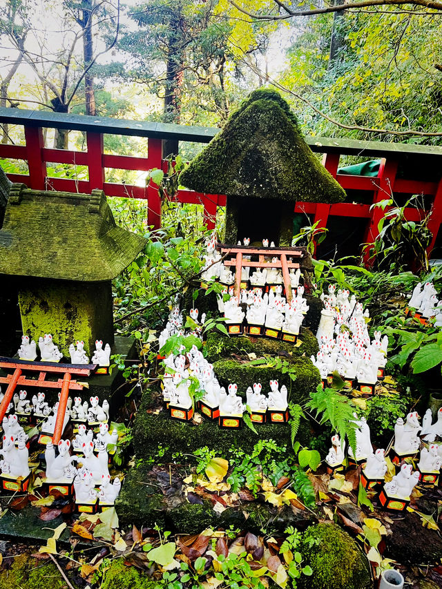 【神奈川県/鎌倉　白狐の置物がたくさん並ぶ神秘的な場所『佐助稲荷神社』】