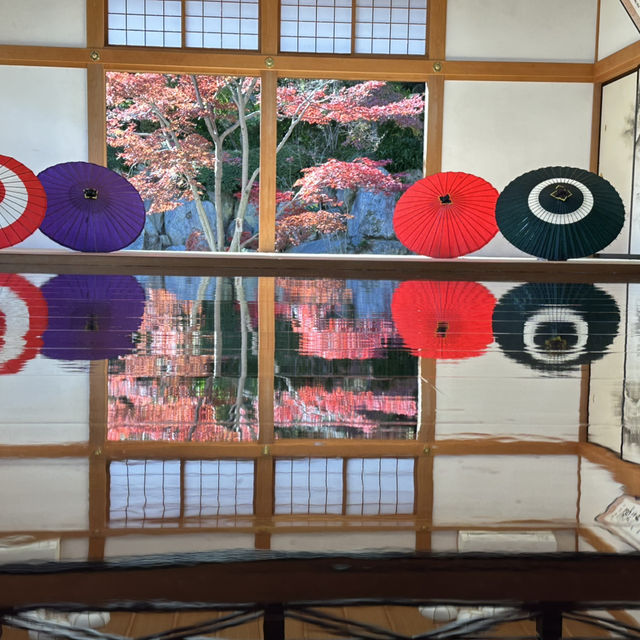 鏡の中の紅葉