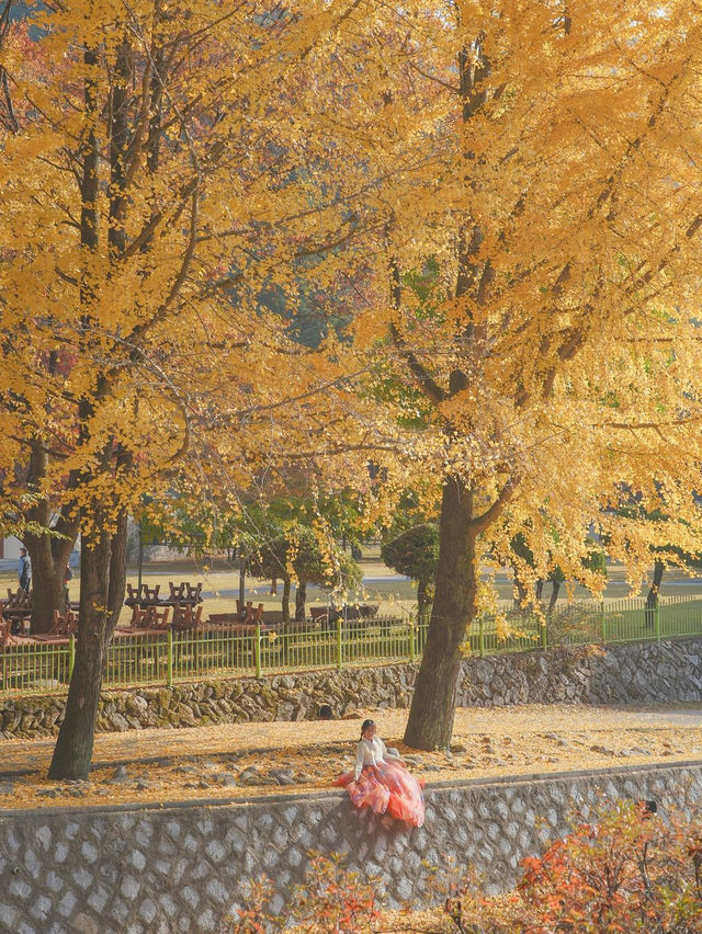 너무 아름다웠던 올 가을 제천 배론성지🍁🤎