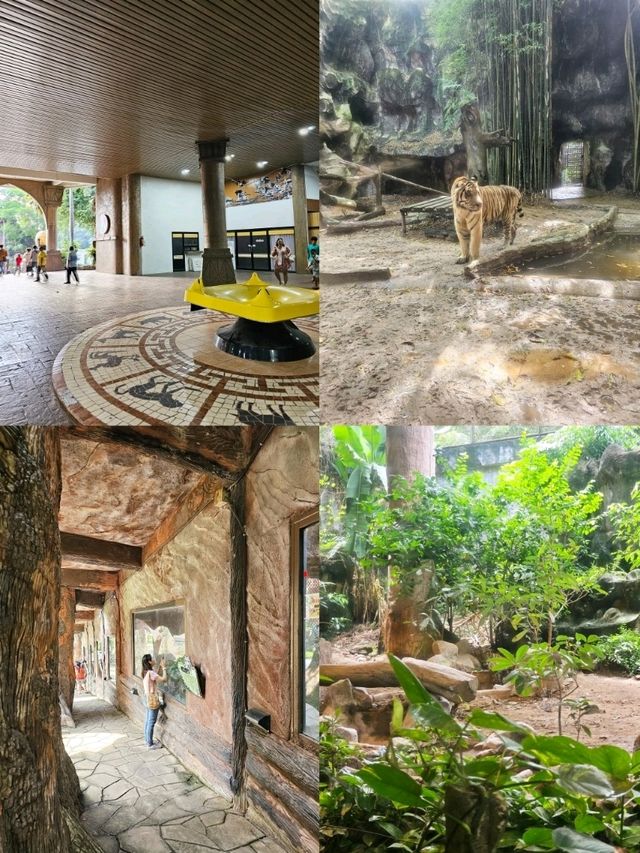 สวนสัตว์เปิดเขาเขียว: ประสบการณ์ใกล้ชิดสัตว์โลก