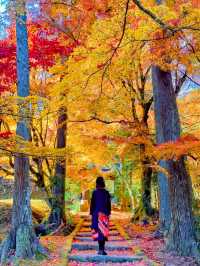 京都南丹の美しい紅葉🍁龍穏寺の秋🍁