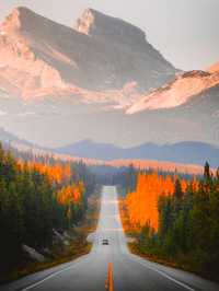 🚙 A Road Trip Through Canada: A Journey of Natural Wonders