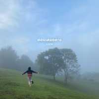 เที่ยว 4 อุทยานแห่งชาติ | ฤดูหนาว 🌳🌿🏕️⛅️