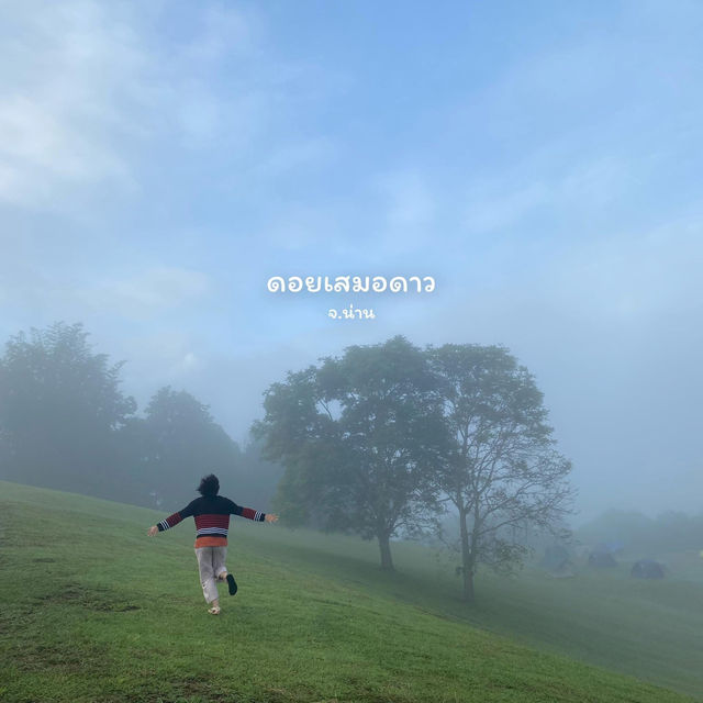 เที่ยว 4 อุทยานแห่งชาติ | ฤดูหนาว 🌳🌿🏕️⛅️