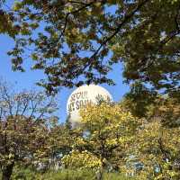 Seoul autumn