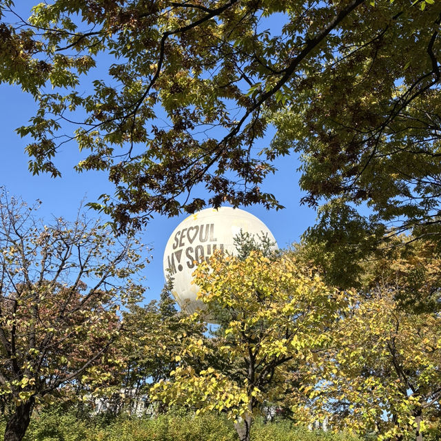 Seoul autumn