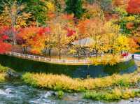 青森🇯🇵中野紅葉山