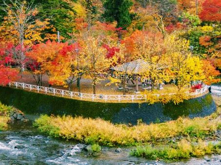 青森🇯🇵中野紅葉山