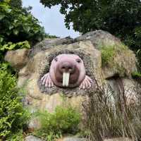 Snoopy Adventure in the Wild- Perfect Weekend Getaway