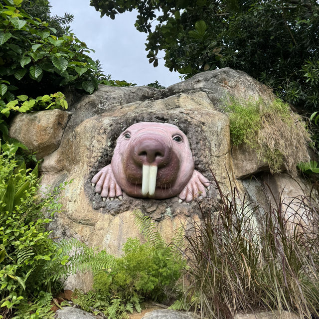 Snoopy Adventure in the Wild- Perfect Weekend Getaway