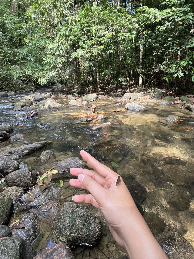 น้ำตกโตนไพร 