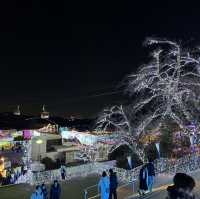 【東京・稲城市】よみうりランド🎡【ジュエルミネーション】