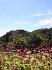 【兵庫🇯🇵】四季折々のお花やハーブを楽しもう