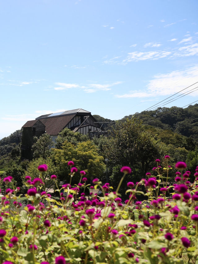 【兵庫🇯🇵】四季折々のお花やハーブを楽しもう